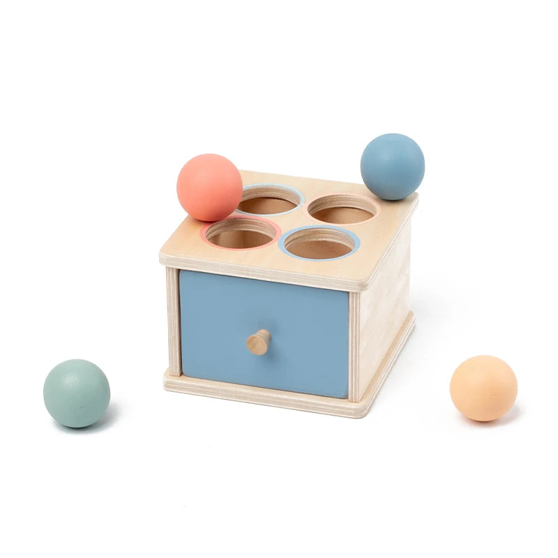 MontessoriNest Wooden Sorting Drawer Box