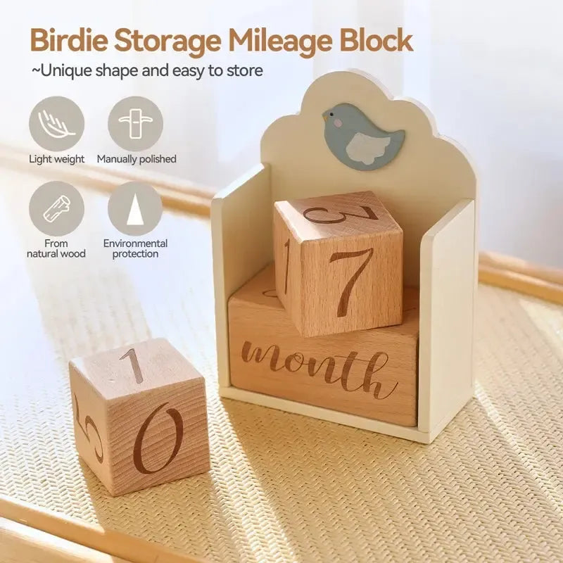 MontessoriNest Wooden Milestone Blocks