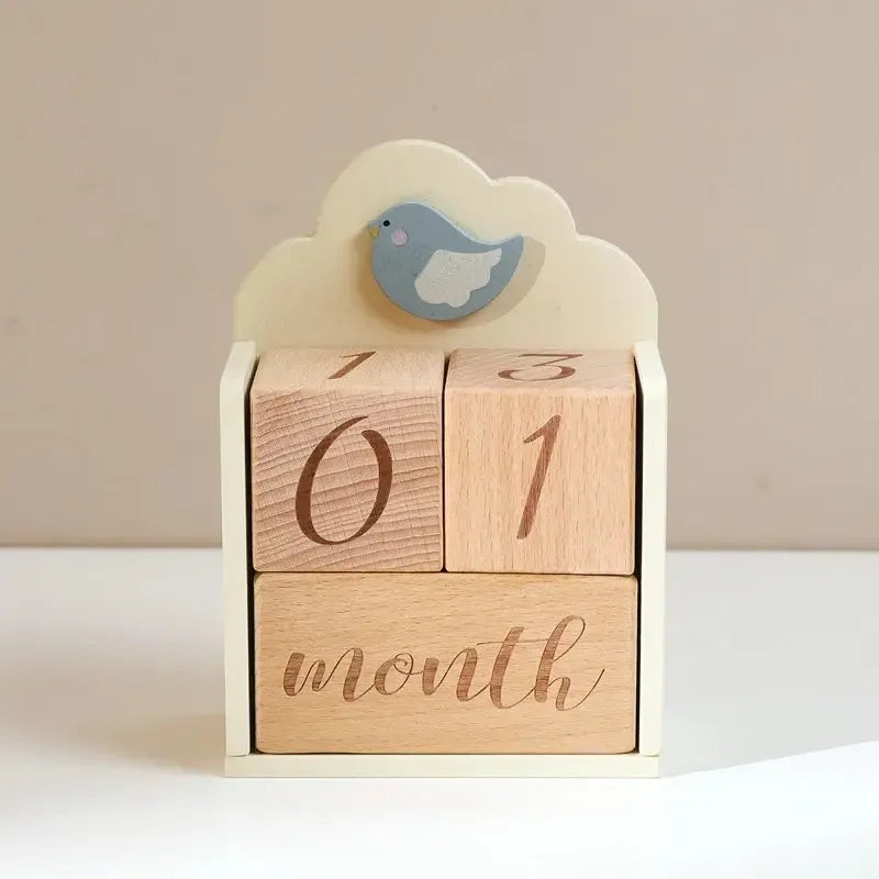 MontessoriNest Wooden Milestone Blocks