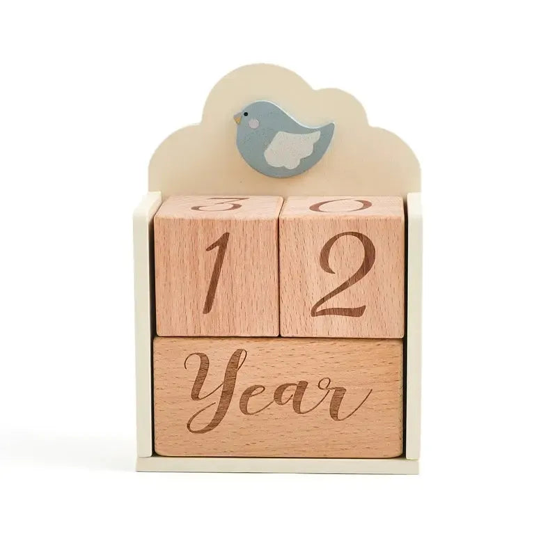 MontessoriNest Wooden Milestone Blocks