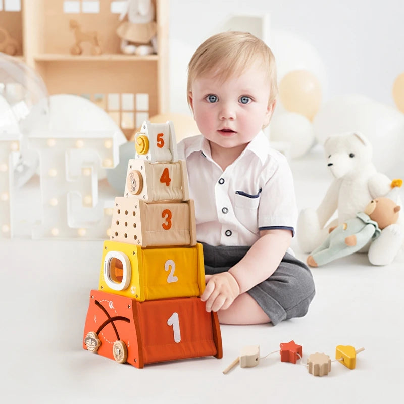 MontessoriNest Educational Shape Matching Toy