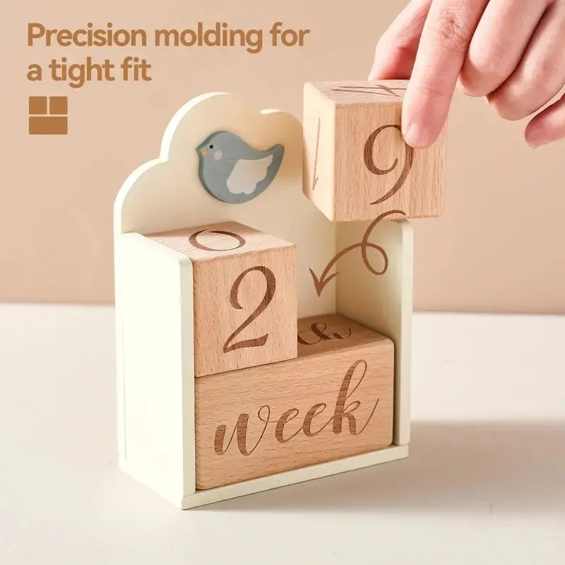 MontessoriNest Wooden Milestone Blocks