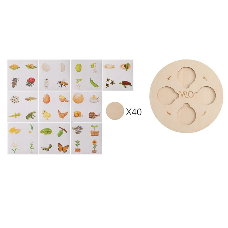 MontessoriNest Teaching Set