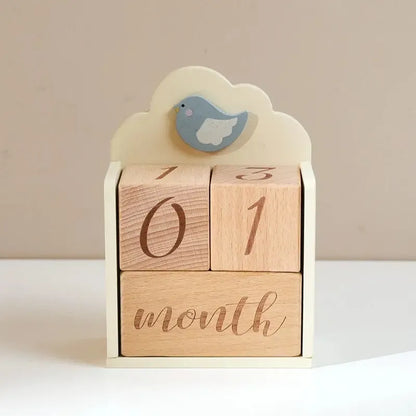 MontessoriNest Wooden Milestone Blocks