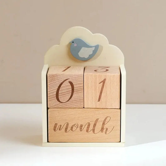 MontessoriNest Wooden Milestone Blocks