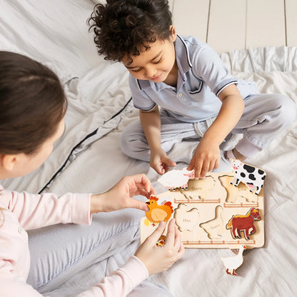 MontessoriNest Cognitive Puzzle Board