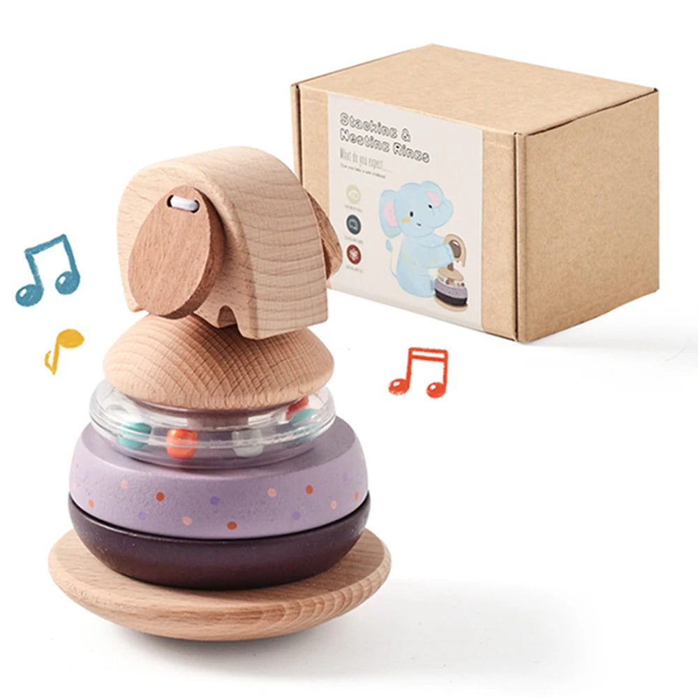 MontessoriNest Cognitive Stacking Blocks