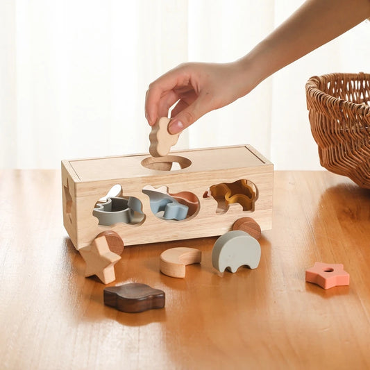 MontessoriNest Wooden Blocks Sorter