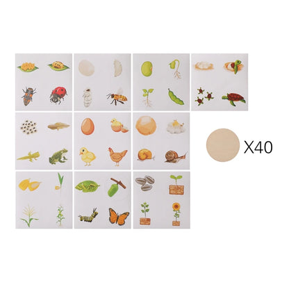 MontessoriNest Teaching Set